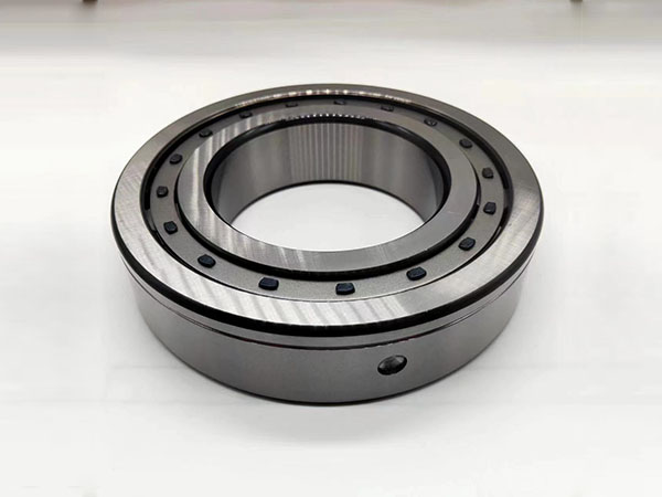 Swing support bearing